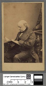 Portrait of Prof. Henry Rogers, President of the Lancashire Independent College, Manchester (4671142)