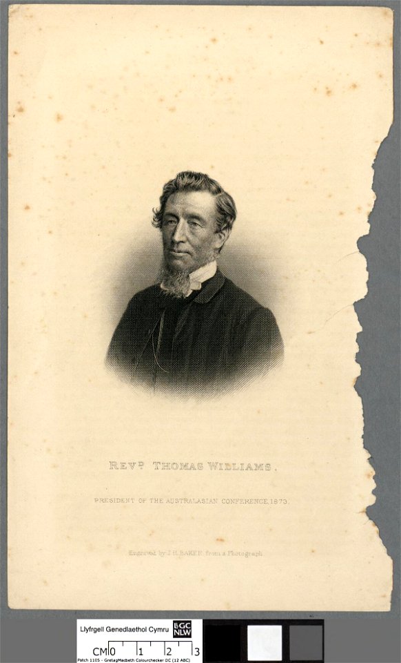 Portrait of Revd. Thomas Williams (4673523)