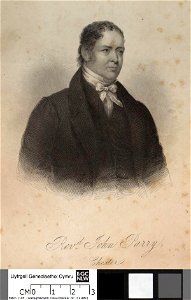 Portrait of Revd. John Parry, Chester (4669874)
