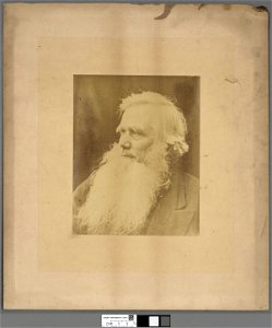 Portrait of Robert Ellis, 'Cynddelw' (4672264)