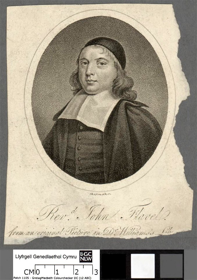 Portrait of Revd. John Flavel (4673730)