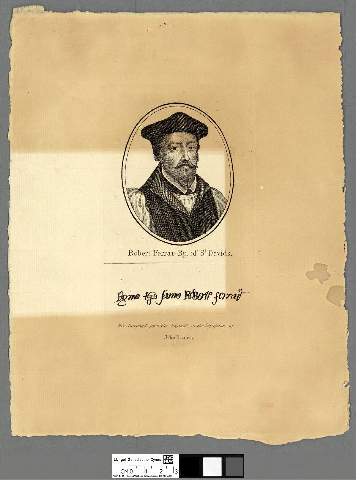 Portrait of Robert Ferrar (4670721)