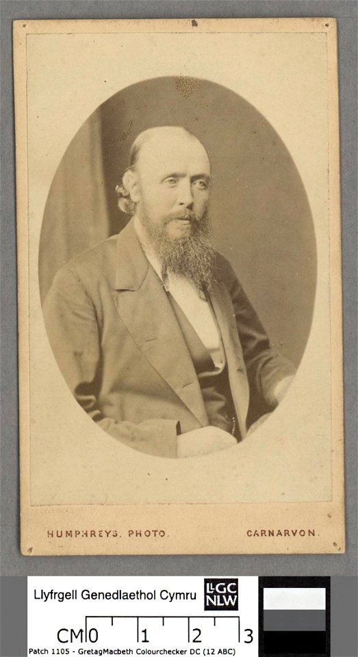 Portrait of Richard Davies (Mynyddog) (4669997)