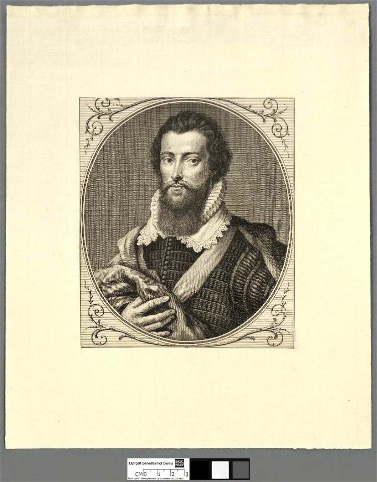Portrait of Robert Devereux Earl of Essex (4671451)