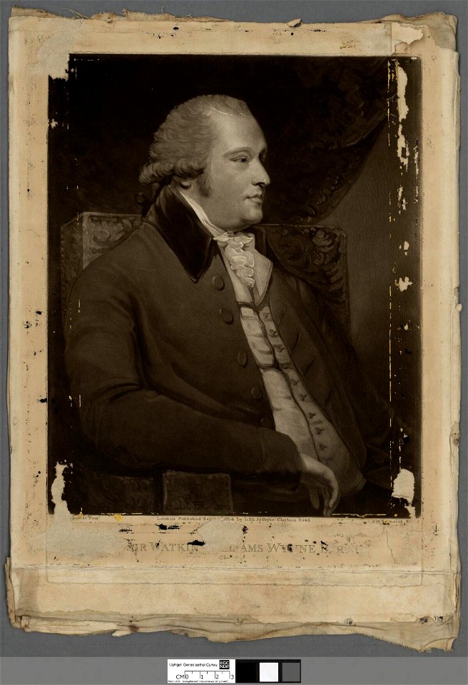 Portrait of Sir Watkin Williams Wynne Bart (4674459)
