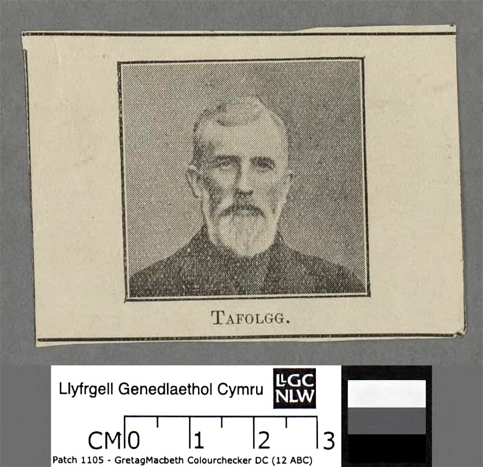 Portrait of Richard (Tafolog) Davies (4673069)