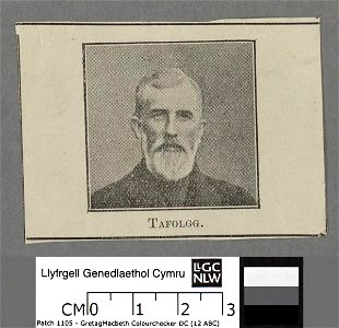 Portrait of Richard (Tafolog) Davies (4673069)