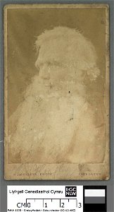 Portrait of Robert Ellis, 'Cynddelw' (4674366)