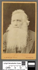 Portrait of Robert Ellis, 'Cynddelw' (4673943)