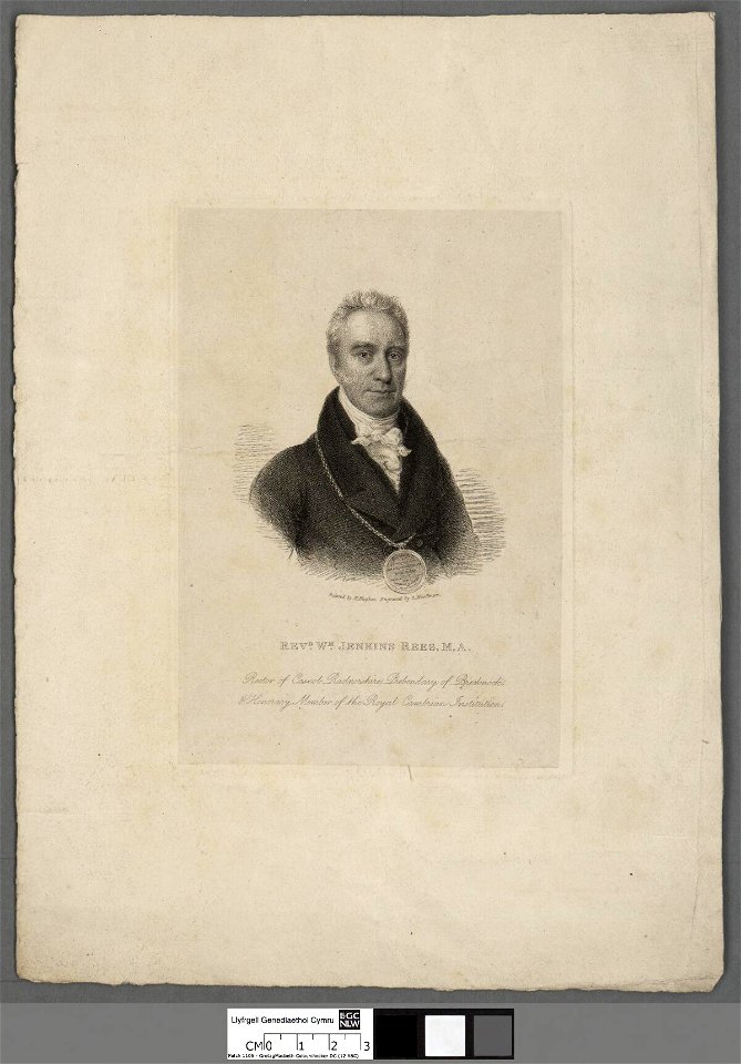 Portrait of Revd. Wm. Jenkins Rees, M.A (4671860)