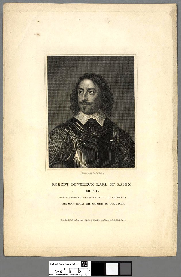 Portrait of Robert Devereux, Earl of Essex (4671452)