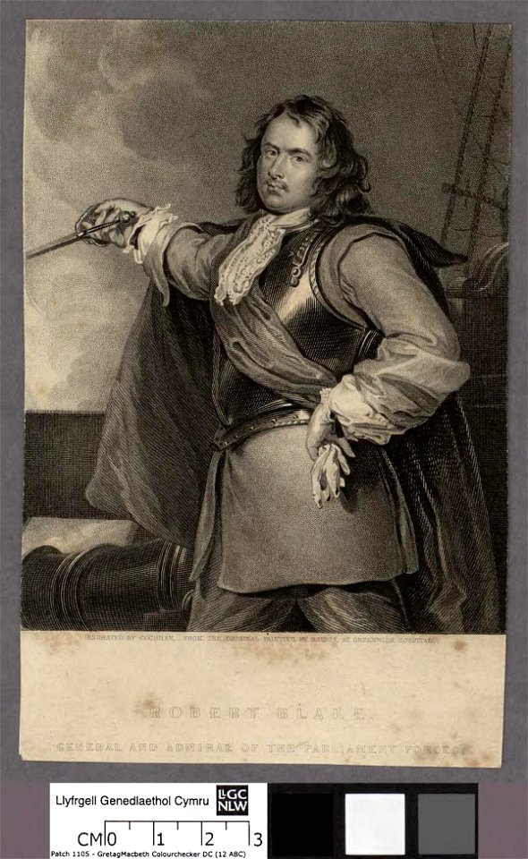 Portrait of Robert Blake (4673635)