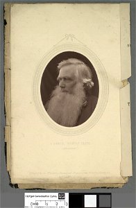Portrait of Robert Ellis, 'Cynddelw' (4674369)