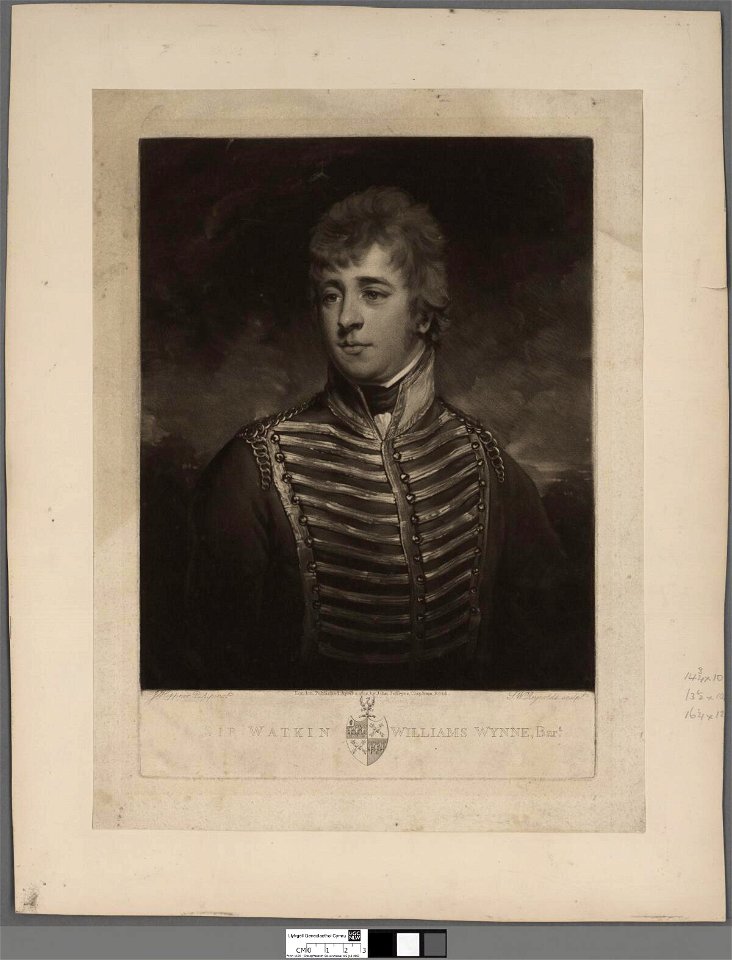 Portrait of Sir Watkin Williams Wynne Bart (4674662)