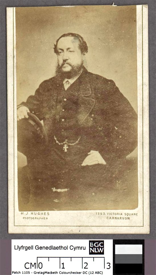 Portrait of Sir Love Jones Parry Bart. (of Castell Madryn, Pwllheli) (4670442)
