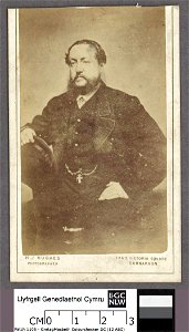 Portrait of Sir Love Jones Parry Bart. (of Castell Madryn, Pwllheli) (4670442)