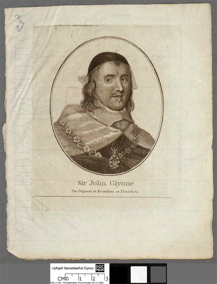 Portrait of Sir John Glynne (4672505)
