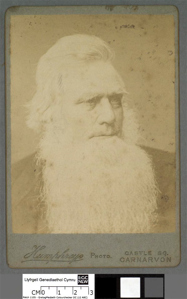 Portrait of Robert Ellis, 'Cynddelw' (4673083)