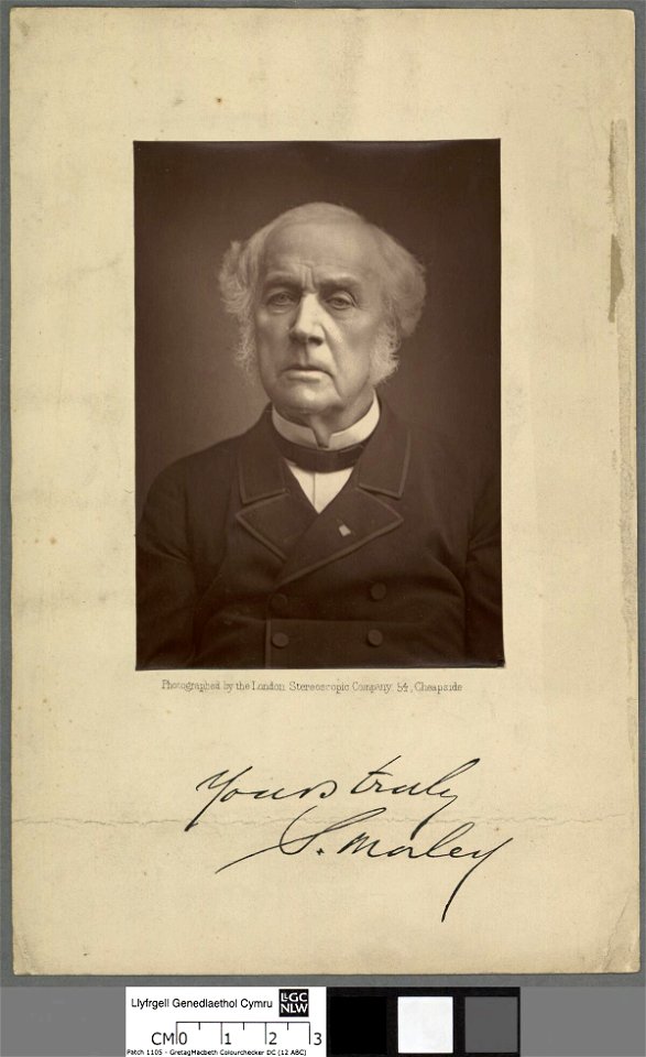 Portrait of S. Marley (4670415)