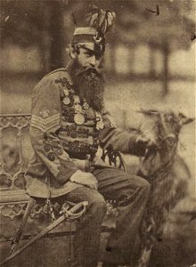 Portrait of Robert Shields (4670523) (cropped)