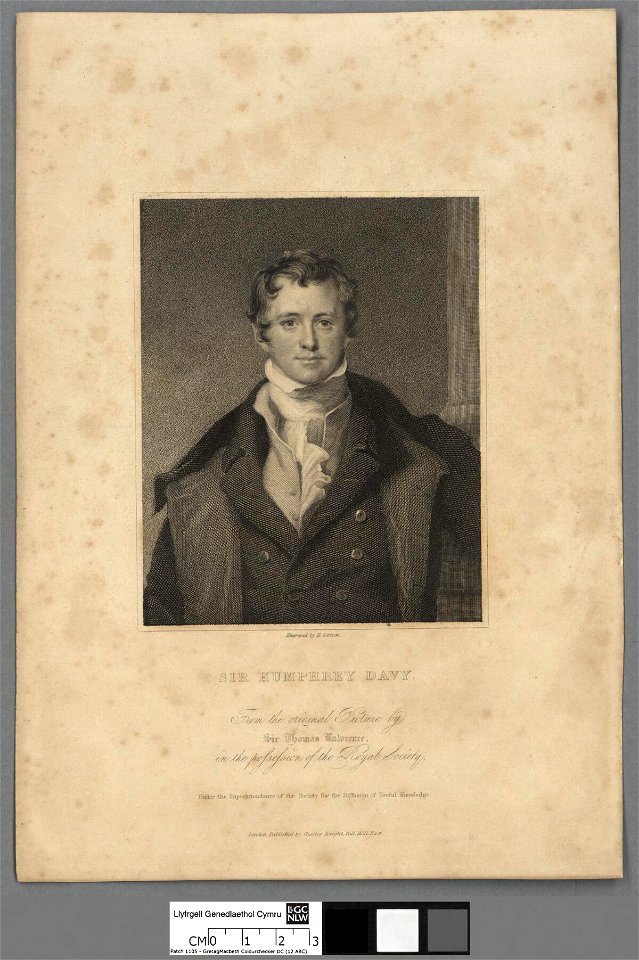 Portrait of Sir Humphrey Davy (4671448)