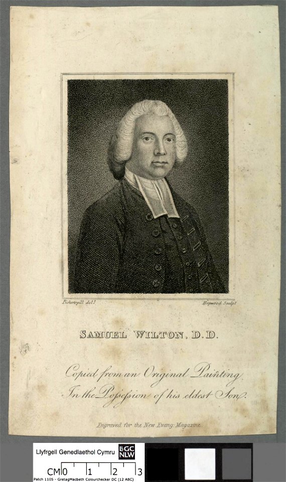 Portrait of Samuel Wilton, D.D (4671050)