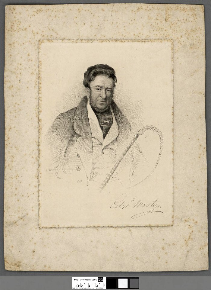 Portrait of Sir Edward Mostyn, 7th Baronet of Talacre (4671683)