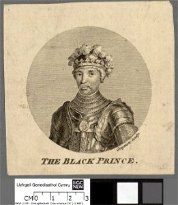 Portrait of The Black Prince (4672848)
