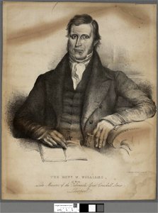 Portrait of The Revd. W. Williams, of Wern (4672200)