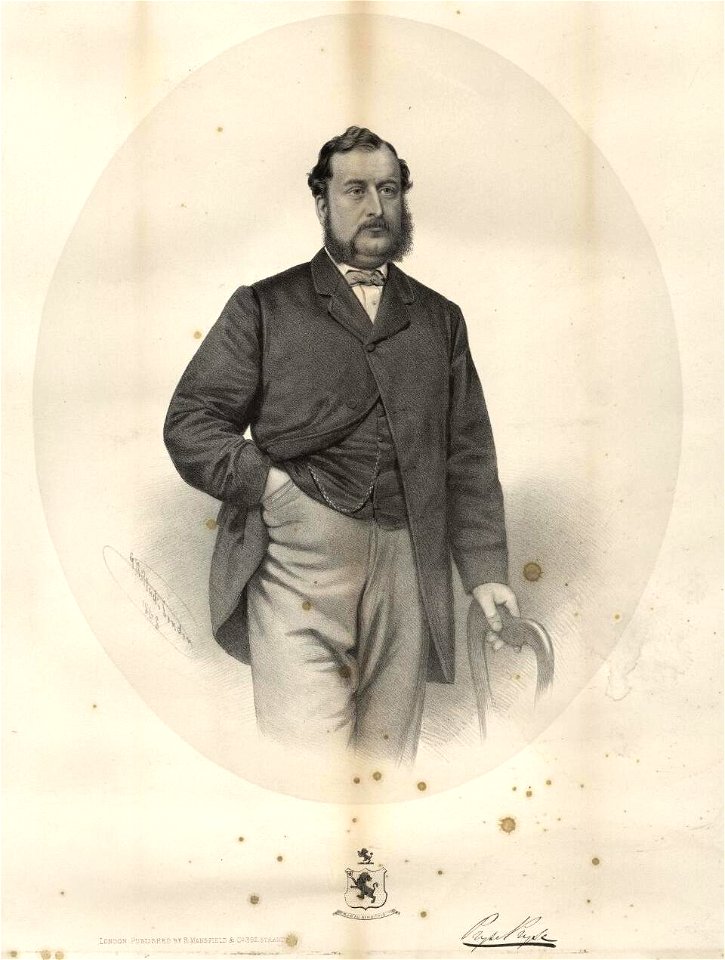 Portrait of Sir Pryse Pryse (4674570)