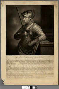 Portrait of Sir Richard Stacpoole of Pembrokeshire (4674600)