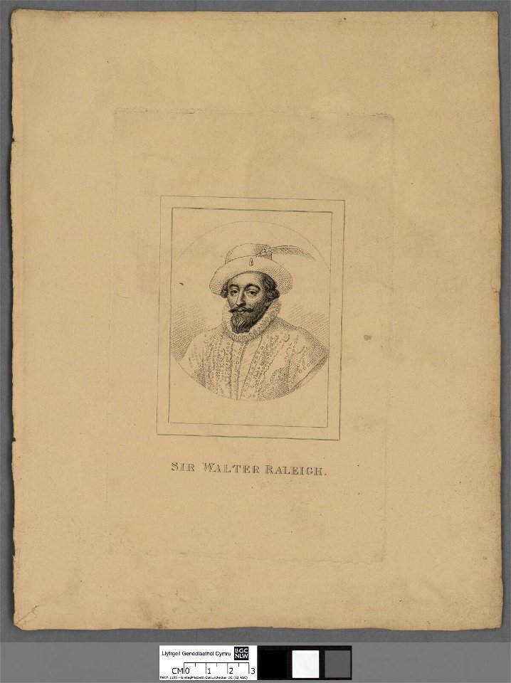 Portrait of Sir Walter Raleigh (4671846)