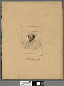 Portrait of Sir Walter Raleigh (4671846)