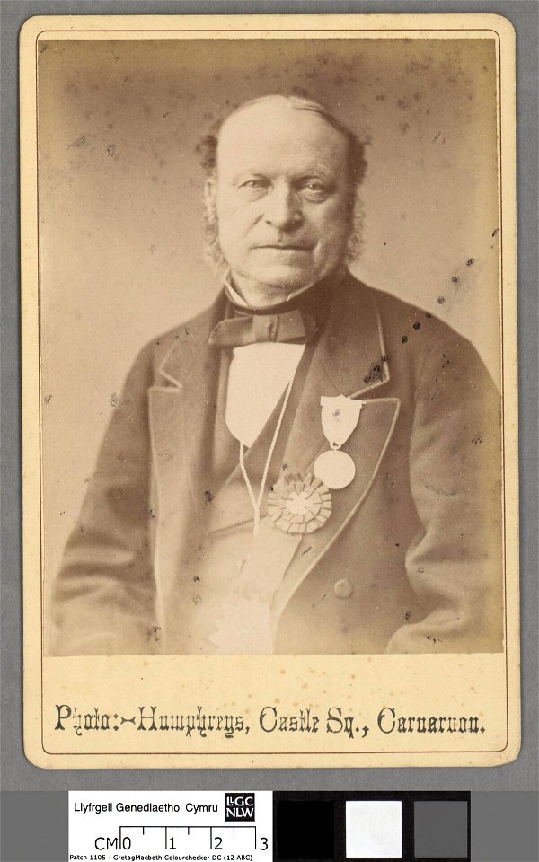 Portrait of Thomas Essile Davies (4673075)
