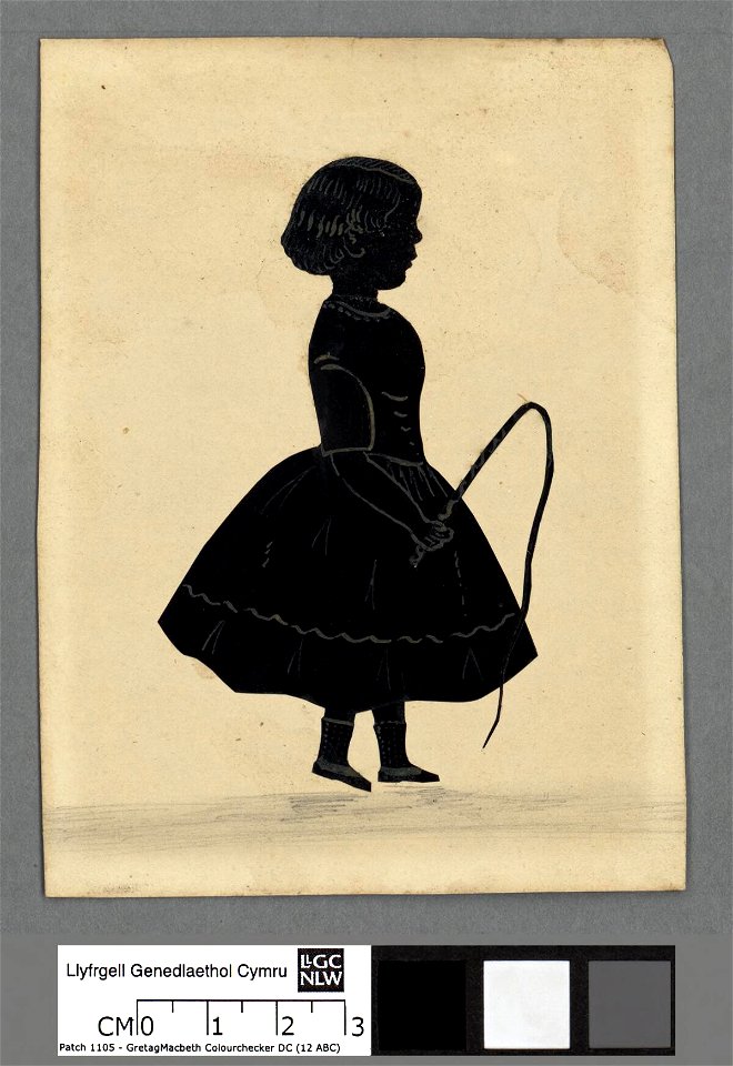 Portrait of Silhouette of a young girl (4670692)