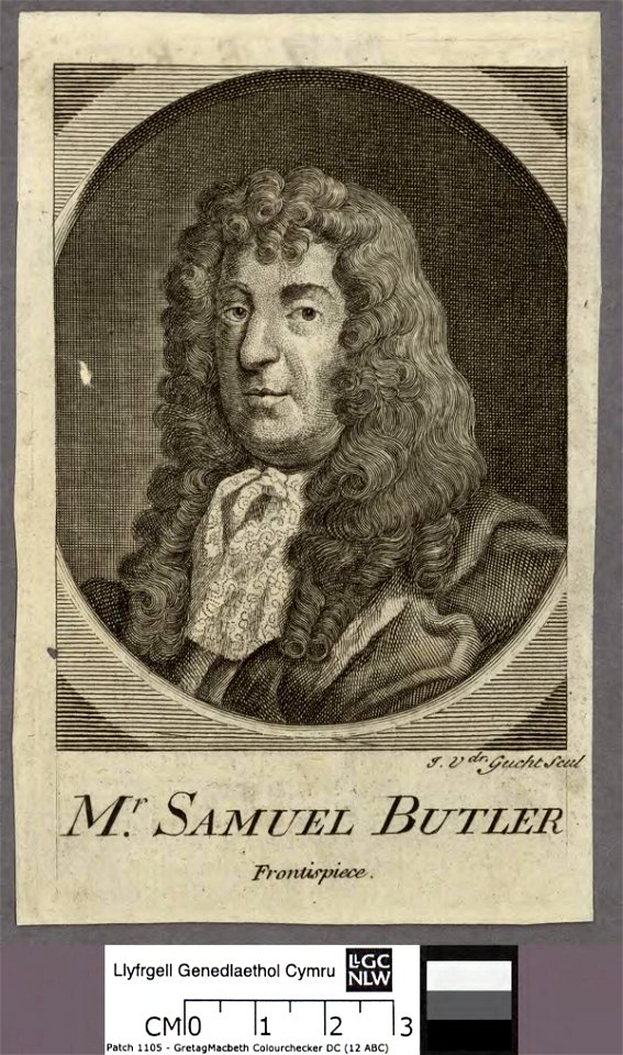 Portrait of Samuel Butler (4673666)