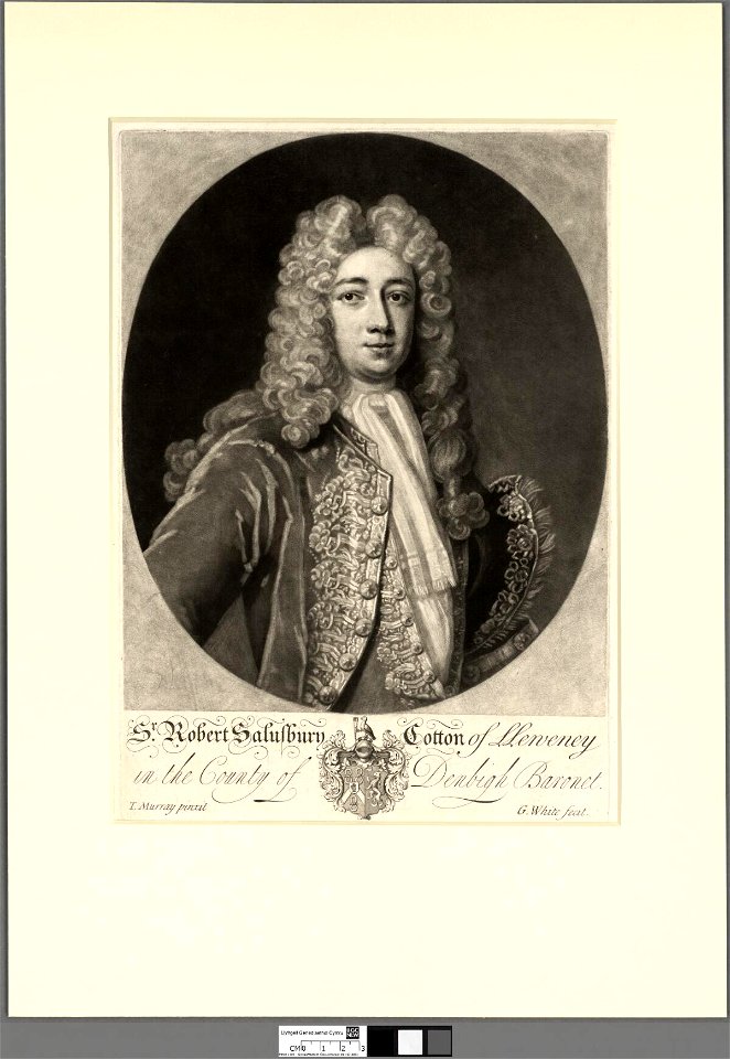 Portrait of Sr. Robert Salusbury Cotton of Lleweney in the County of Denbigh Baronet (4672244)
