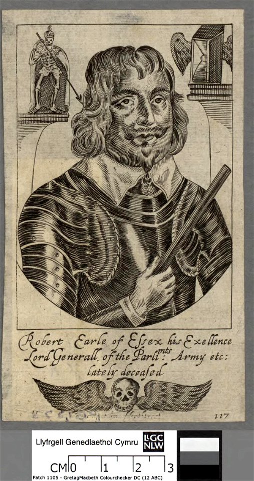 Portrait of Robert, Earle of Essex (4674077)
