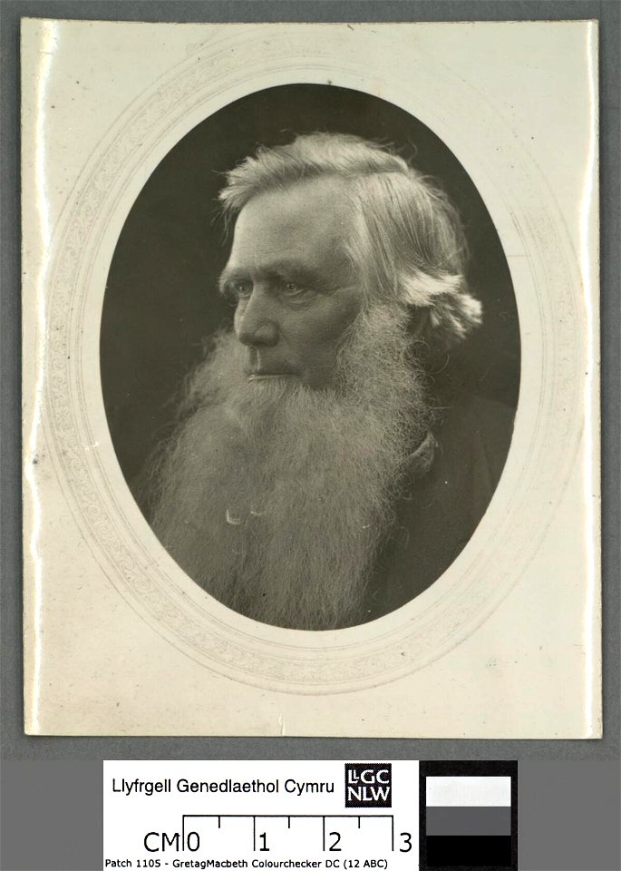 Portrait of Robert Ellis, (Cynddelw) (4673944)
