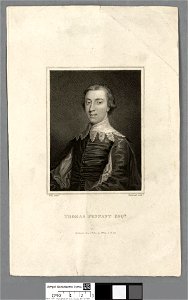 Portrait of Thomas Pennant Esqr (4673815)