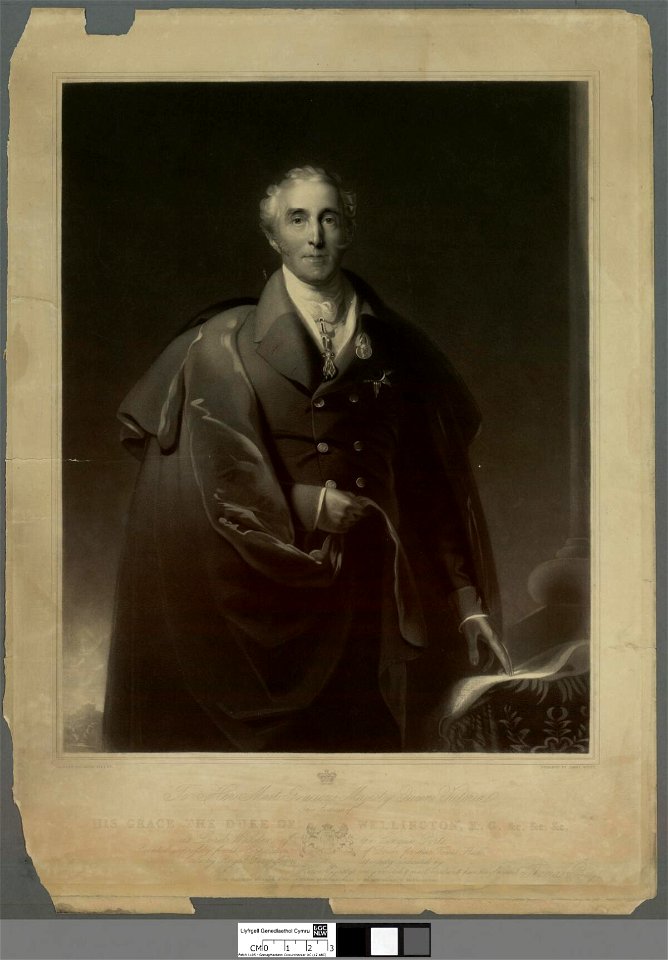 Portrait of the Duke of Wellington, K.G. (4674636)