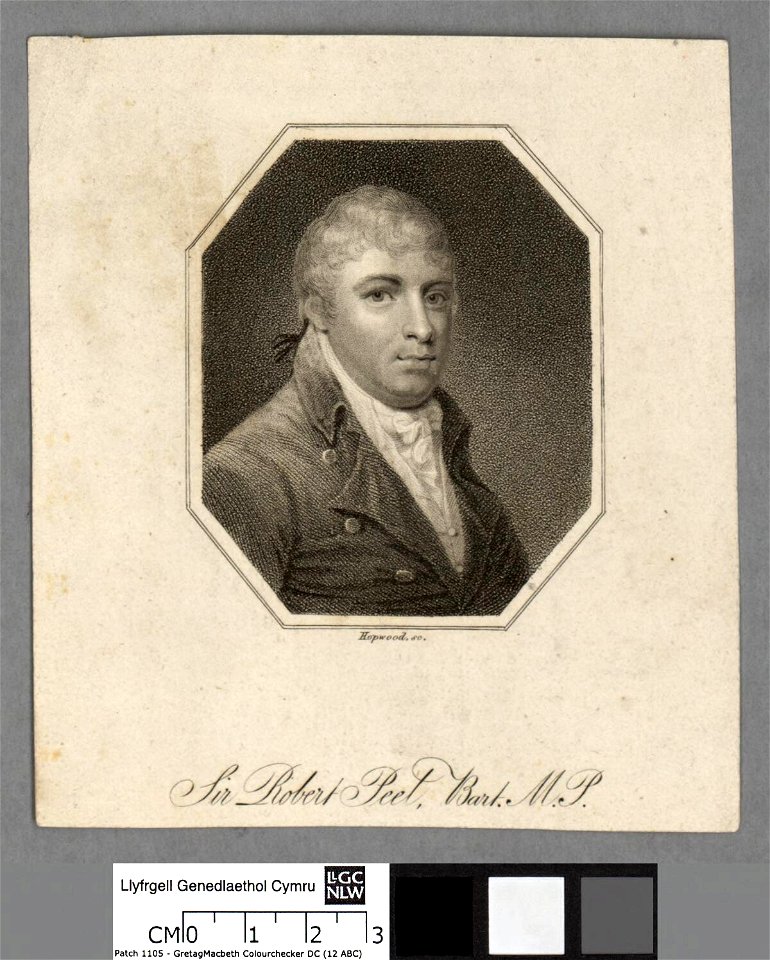 Portrait of Robert Peel, Bart. M.P (4673814)