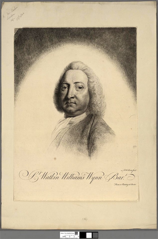 Portrait of Sr. Watkin Williams Wynn Bart (4674656)