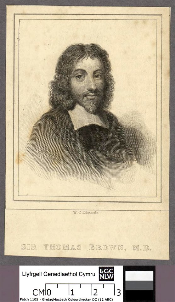 Portrait of Sir Thomas Brown, M.D (4673650)