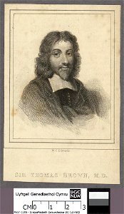 Portrait of Sir Thomas Brown, M.D (4673650)