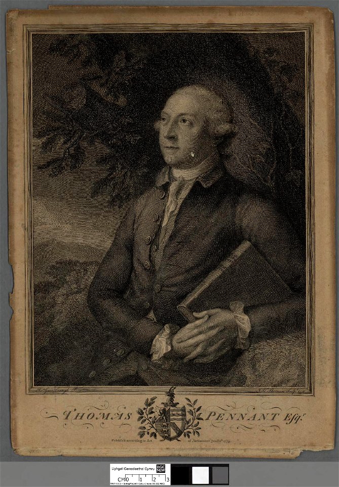 Portrait of Thomas Pennant Esq (4671761)