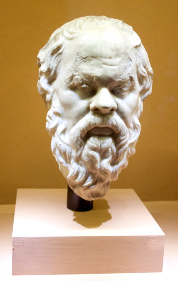 Portrait of Socrates, Colosseum