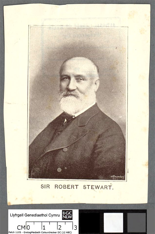 Portrait of Sir Robert Stewart (4674259)