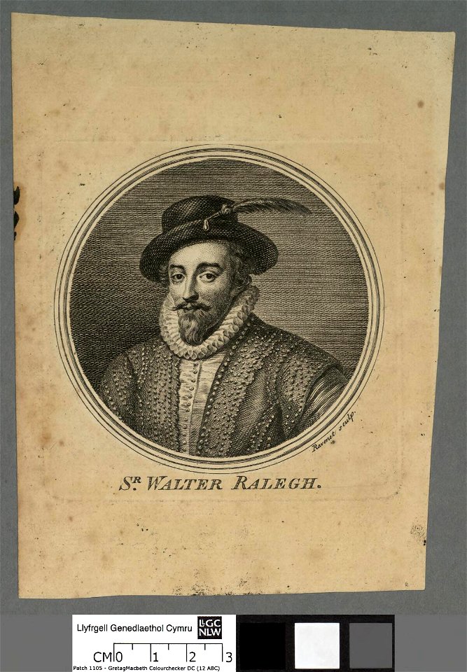 Portrait of Sr. Walter Ralegh (4673000)