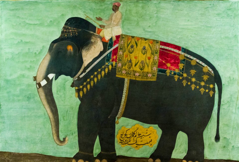 Portrait of the Elephant Alam Guman